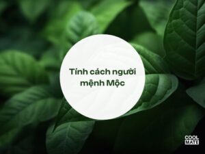 menh moc hop mau gi 1